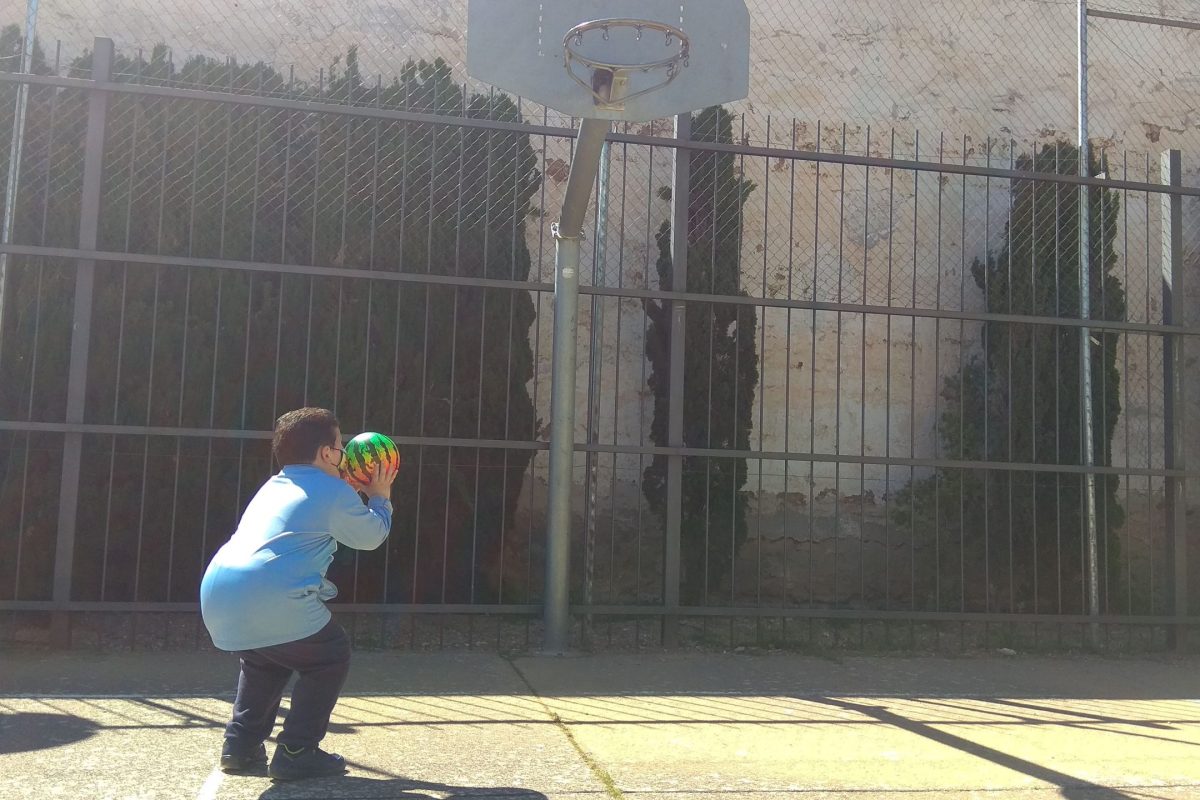 Entrenamiento
